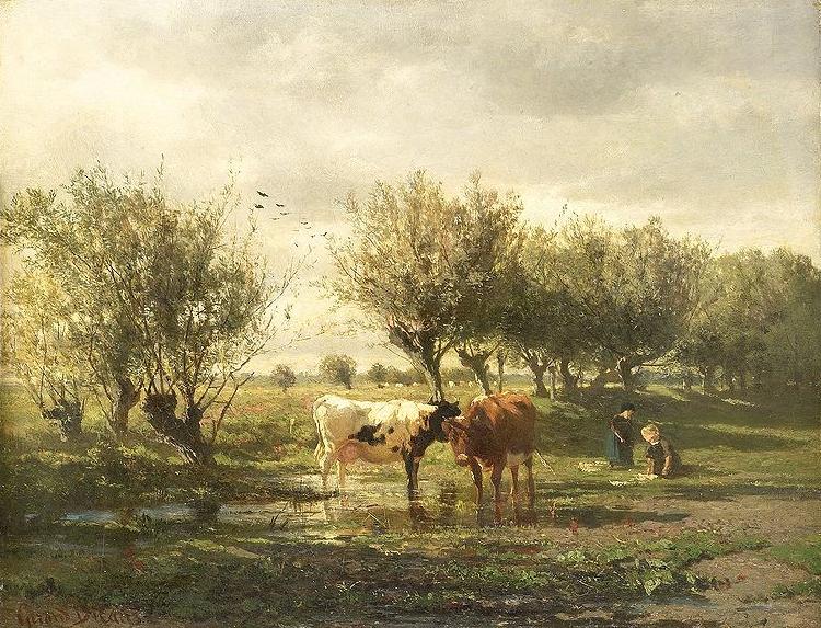  Cows at a pond